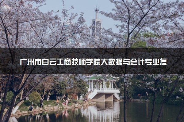 广州市白云工商技师学院大数据与会计专业怎么样