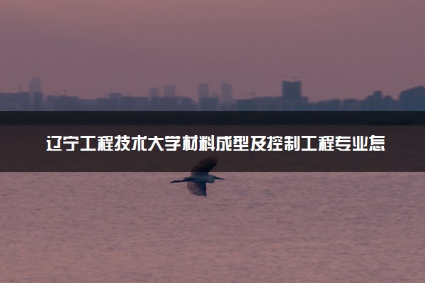 辽宁工程技术大学材料成型及控制工程专业怎么样 录取分数线多少