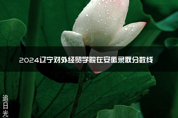 2024辽宁对外经贸学院在安徽录取分数线 各专业分数及位次