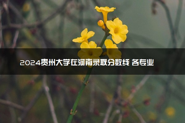2024贵州大学在河南录取分数线 各专业分数及位次