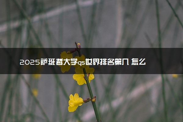2025萨班哲大学qs世界排名第几 怎么考进去