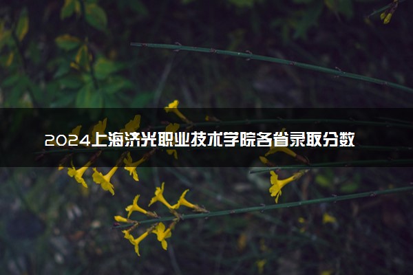 2024上海济光职业技术学院各省录取分数线是多少 最低分及位次
