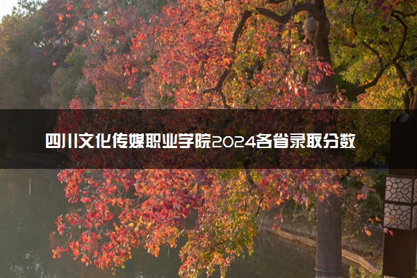 四川文化传媒职业学院2024各省录取分数线及最低位次是多少