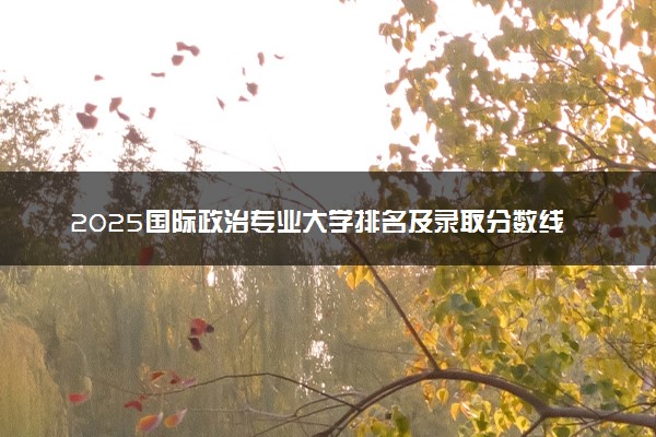 2025国际政治专业大学排名及录取分数线