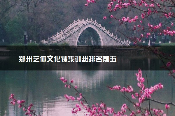 郑州艺体文化课集训班排名前五