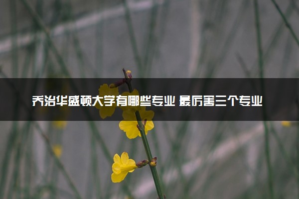 乔治华盛顿大学有哪些专业 最厉害三个专业是什么
