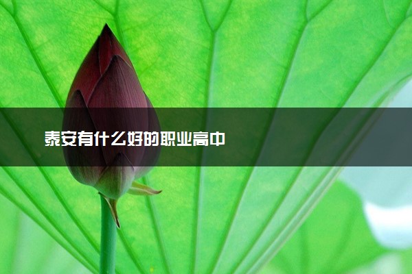 泰安有什么好的职业高中