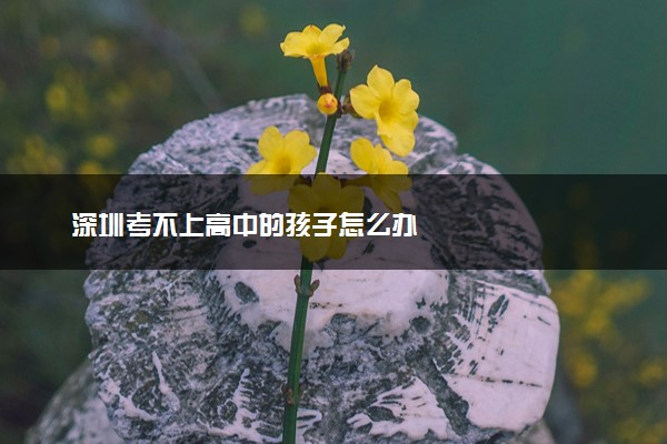 深圳考不上高中的孩子怎么办