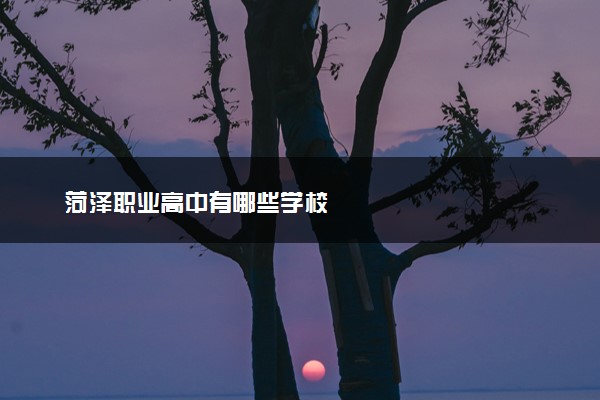 菏泽职业高中有哪些学校