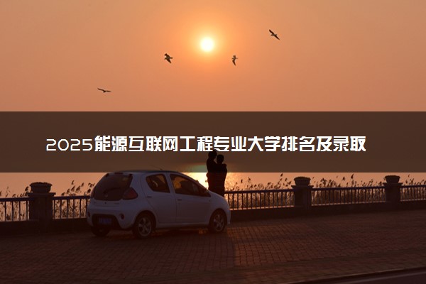 2025能源互联网工程专业大学排名及录取分数线