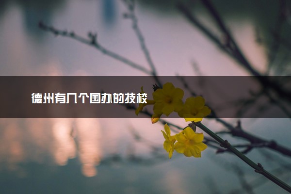 德州有几个国办的技校