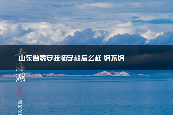 山东省泰安技师学校怎么样 好不好