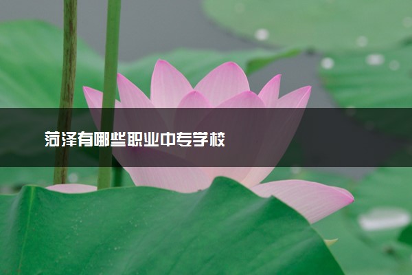 菏泽有哪些职业中专学校