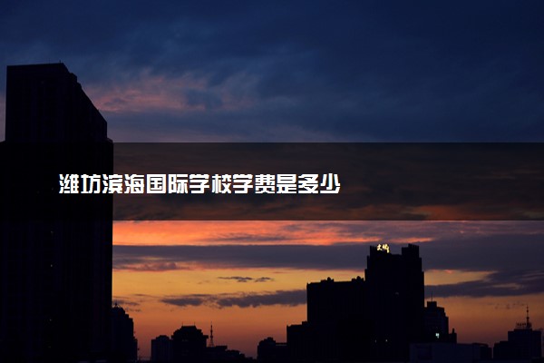 潍坊滨海国际学校学费是多少