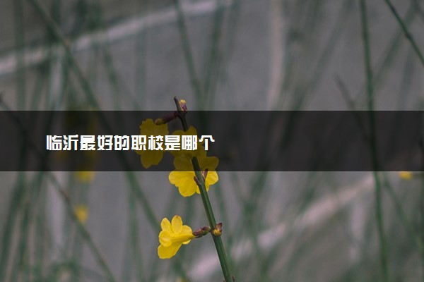 临沂最好的职校是哪个