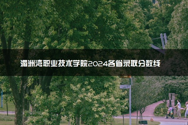 湄洲湾职业技术学院2024各省录取分数线及最低位次是多少