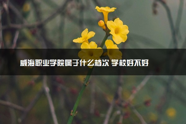 威海职业学院属于什么档次 学校好不好