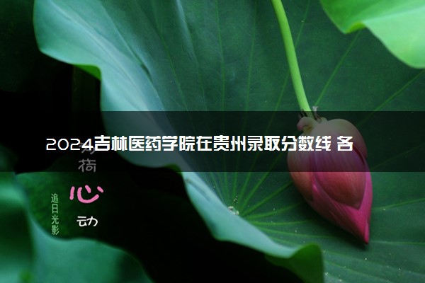 2024吉林医药学院在贵州录取分数线 各专业分数及位次