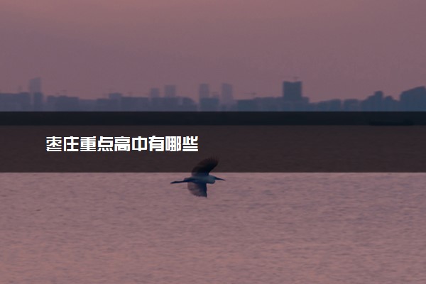 枣庄重点高中有哪些