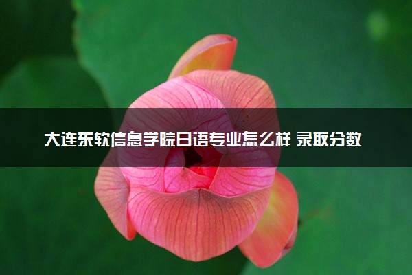大连东软信息学院日语专业怎么样 录取分数线多少