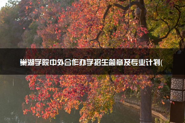 巢湖学院中外合作办学招生简章及专业计划（2025参考）