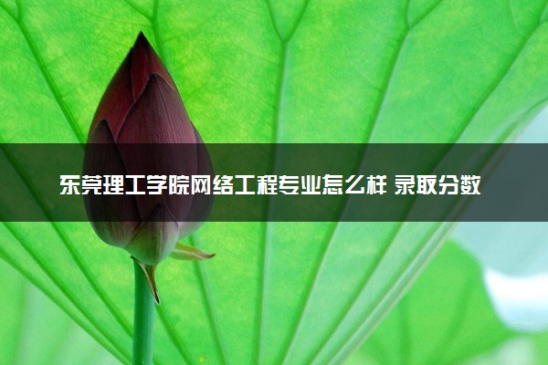 东莞理工学院网络工程专业怎么样 录取分数线多少