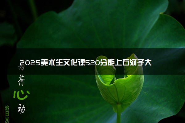 2025美术生文化课520分能上石河子大学吗