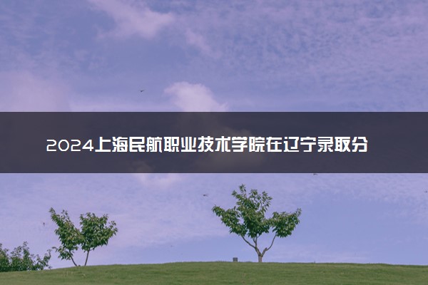 2024上海民航职业技术学院在辽宁录取分数线 各专业分数及位次