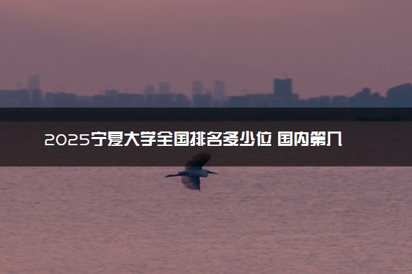 2025宁夏大学全国排名多少位 国内第几名