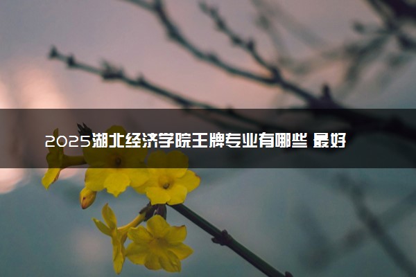 2025湖北经济学院王牌专业有哪些 最好的专业是什么