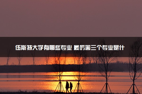 伍斯特大学有哪些专业 最厉害三个专业是什么
