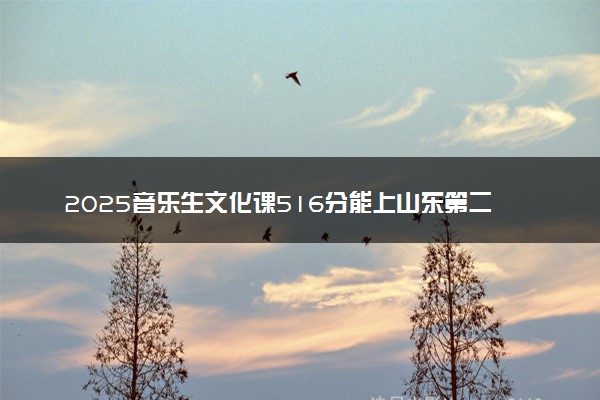 2025音乐生文化课516分能上山东第二医科大学吗