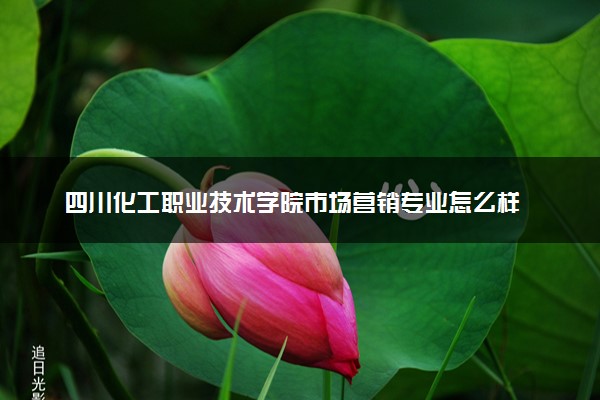 四川化工职业技术学院市场营销专业怎么样 录取分数线多少