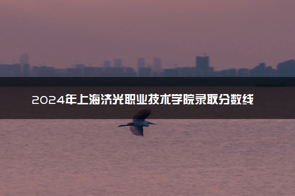 2024年上海济光职业技术学院录取分数线是多少 各省最低分数线及位次