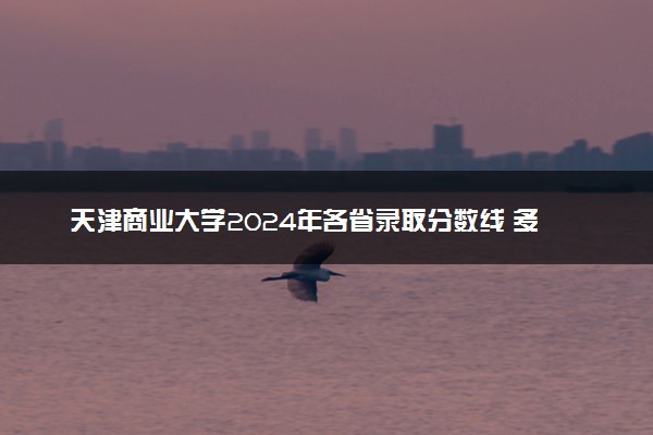 天津商业大学2024年各省录取分数线 多少分能考上