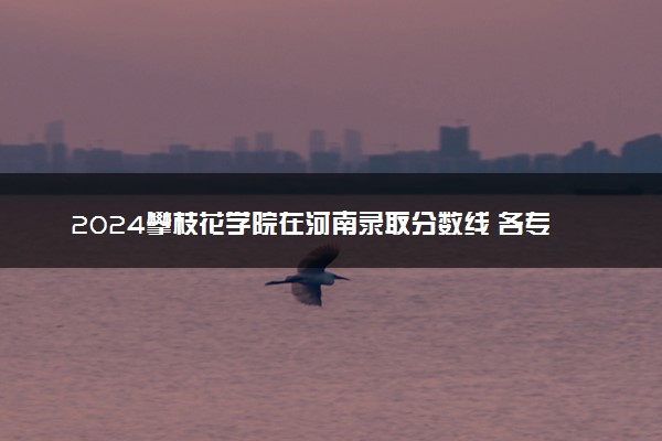 2024攀枝花学院在河南录取分数线 各专业分数及位次