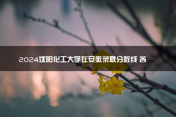 2024沈阳化工大学在安徽录取分数线 各专业分数及位次
