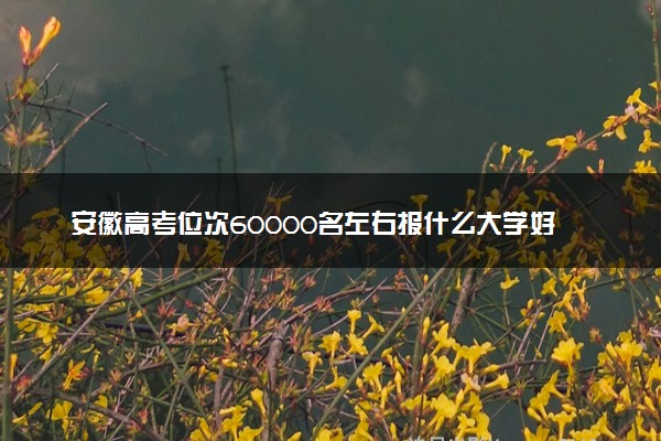 安徽高考位次60000名左右报什么大学好（2025年参考）