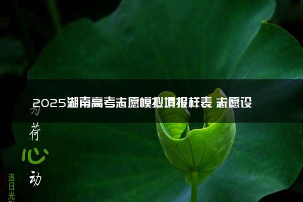 2025湖南高考志愿模拟填报样表 志愿设置及填报技巧