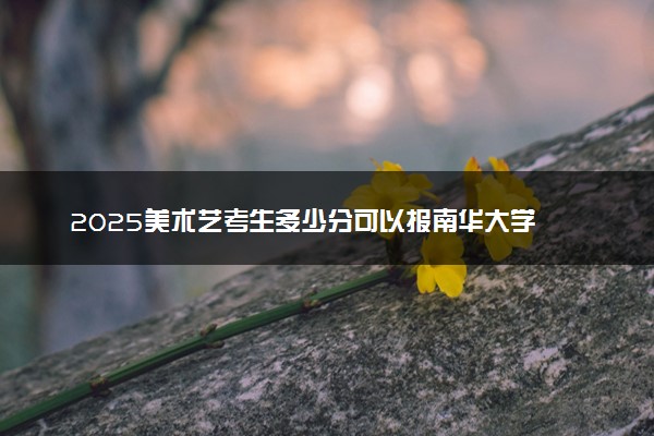 2025美术艺考生多少分可以报南华大学