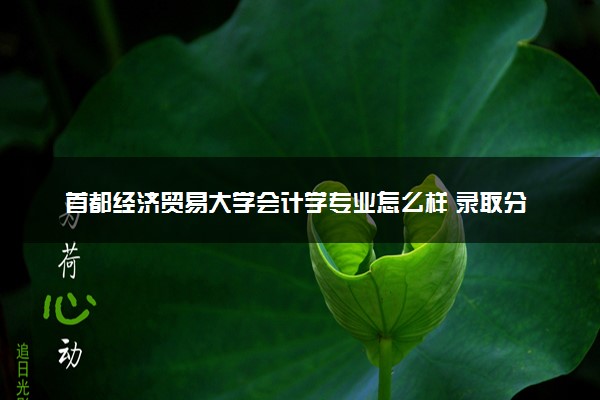 首都经济贸易大学会计学专业怎么样 录取分数线多少