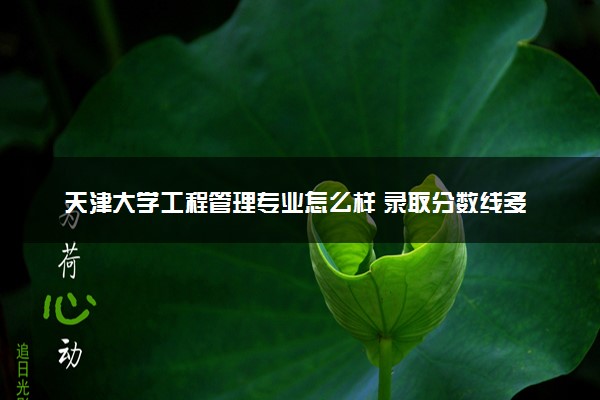 天津大学工程管理专业怎么样 录取分数线多少