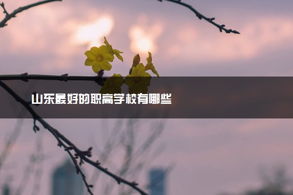 山东最好的职高学校有哪些