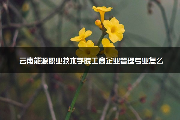 云南能源职业技术学院工商企业管理专业怎么样 录取分数线多少