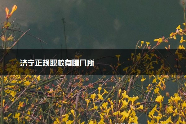 济宁正规职校有哪几所