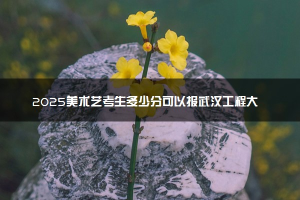 2025美术艺考生多少分可以报武汉工程大学