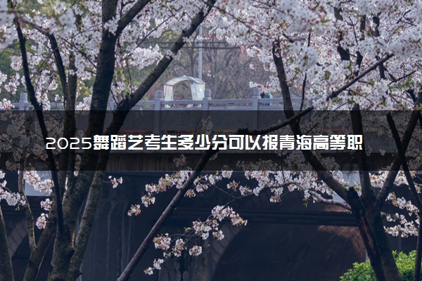2025舞蹈艺考生多少分可以报青海高等职业技术学院