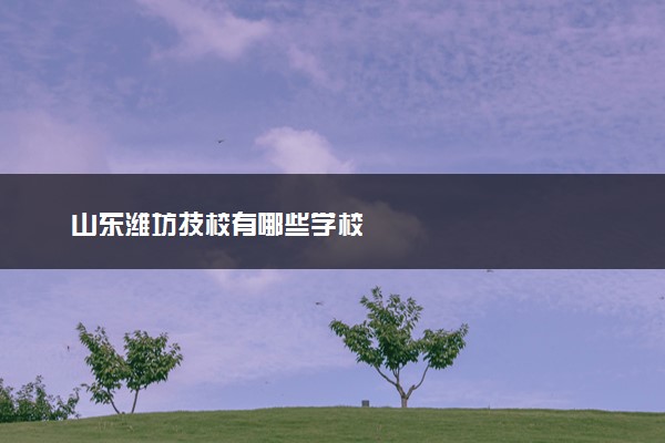 山东潍坊技校有哪些学校