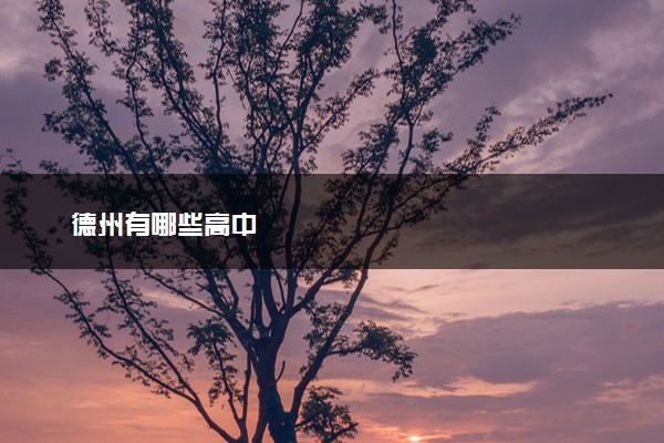 德州有哪些高中