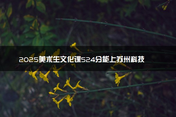2025美术生文化课524分能上苏州科技大学吗